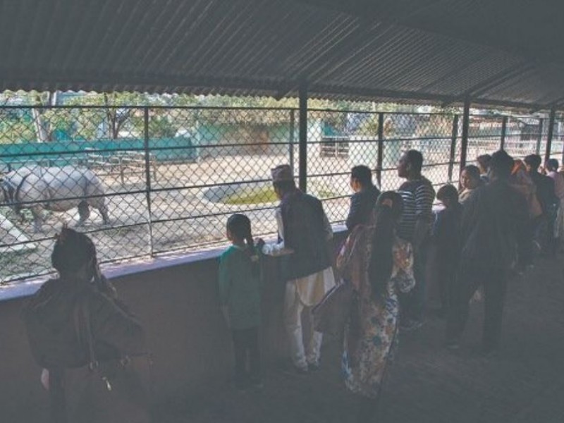 आधाले घट्यो चिडियाखानाको आम्दानी